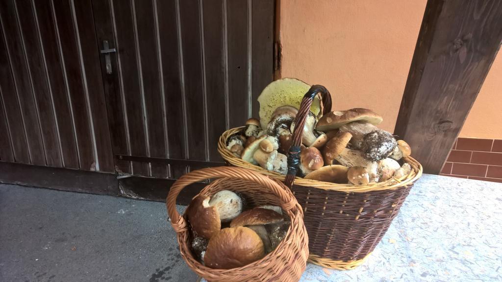 Penzion Jizerka 捷克贾布朗尼城 外观 照片